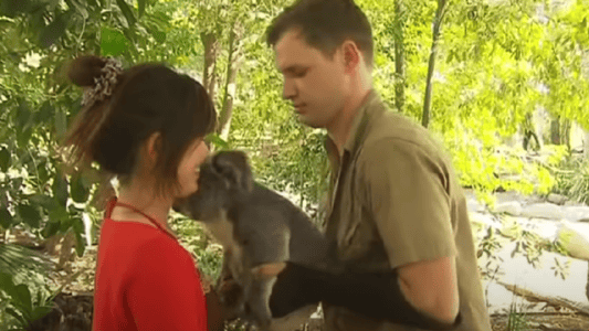 The Hidden Dangers of Wildlife Tourism—Are You Accidentally Harming ...