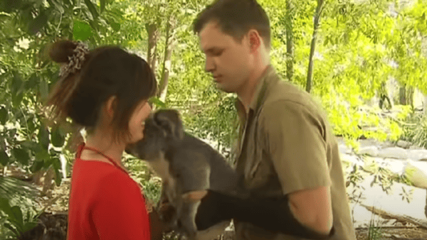 The Hidden Dangers of Wildlife Tourism—Are You Accidentally Harming ...