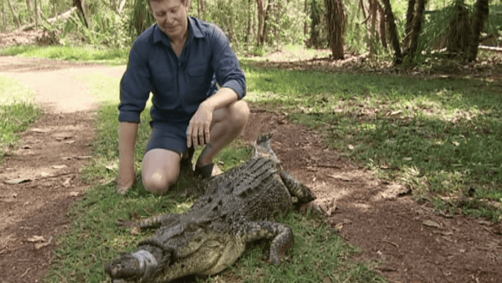 Shocking Discovery Found An Animal Expert Committing Animal Abuse In New Zealand