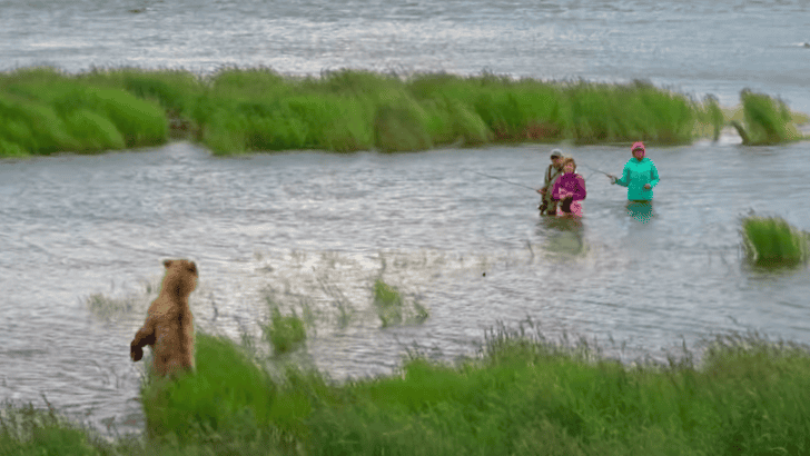 Three (un)Lucky Fishermen Get a Visit by a Juvenile Grizzly Bear in Katmai National Park