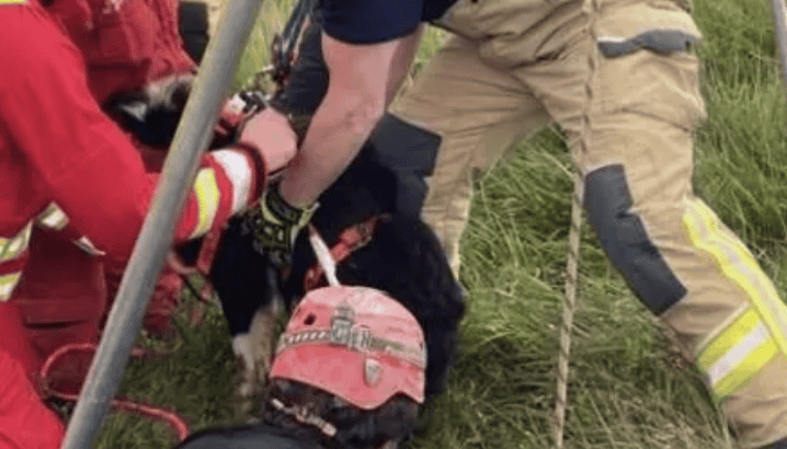 Miracle on the Mountain: A Seven-Hour Dog Rescue Underground