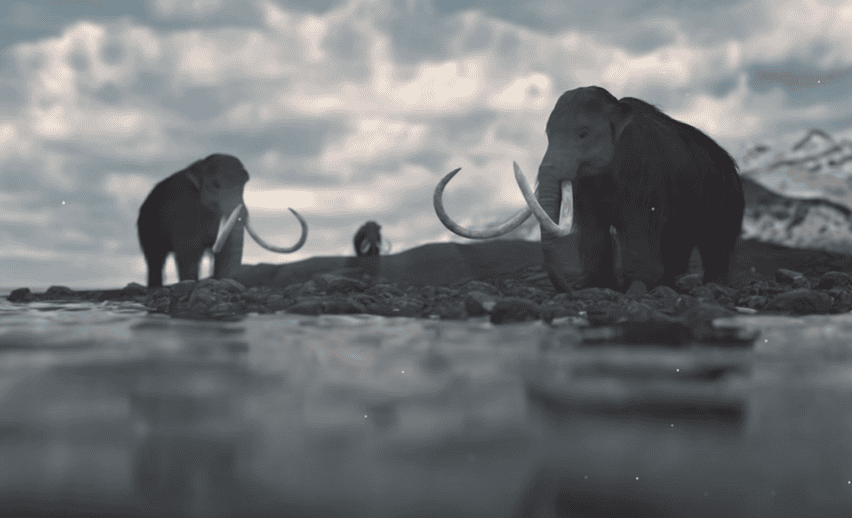 The Island of the Last Surviving Mammoths-