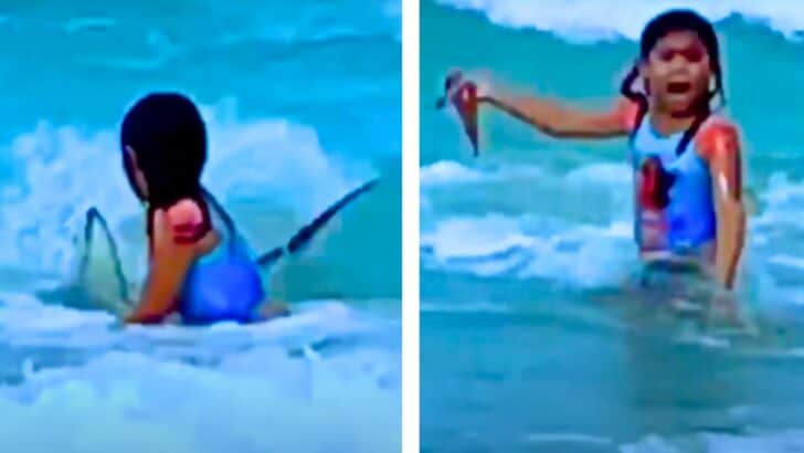 Mother Captures Her 6-Year-Old Girl On Video When She Has a Terrifying Shark Encounter