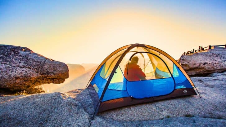 11 Diseases You Can Catch Camping in the US