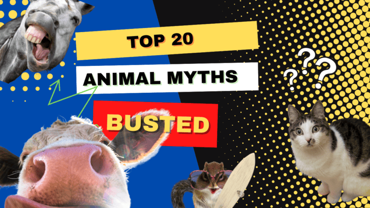 20 Animal Myths We Thought to Be True