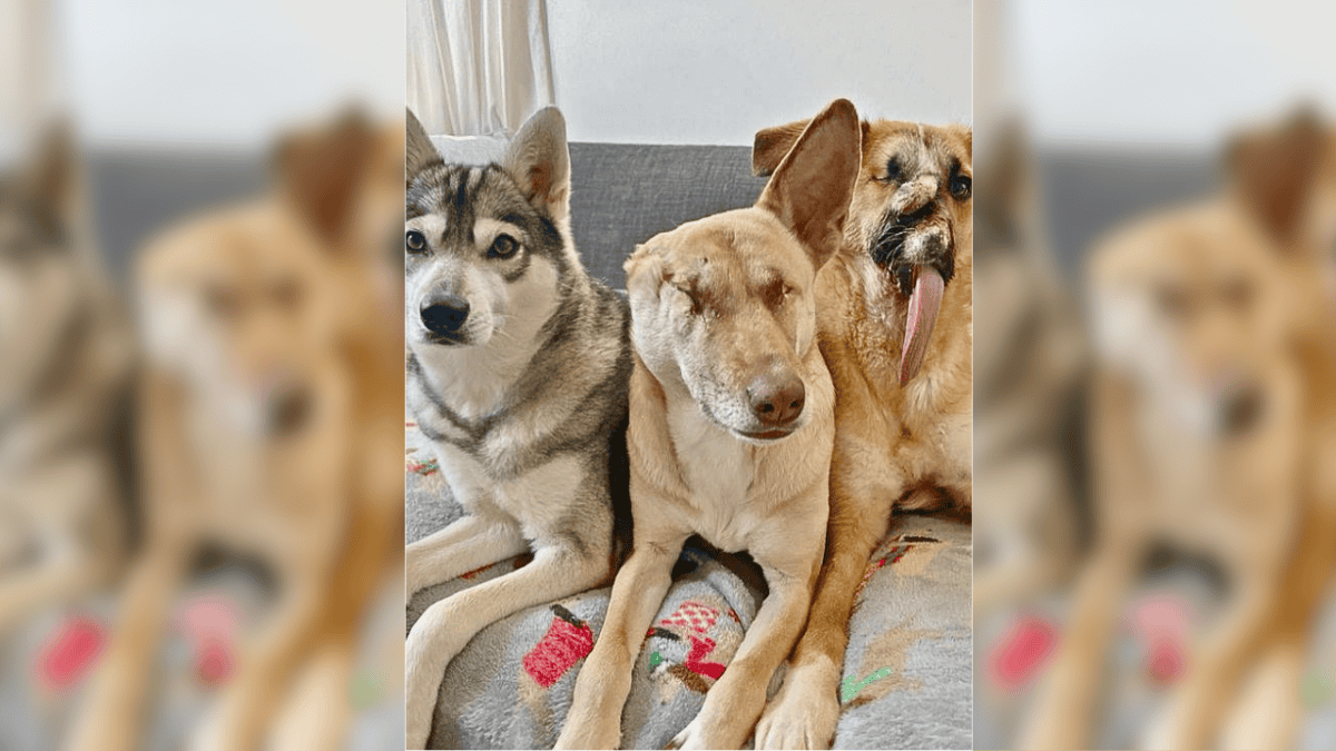 Maggi and sisters