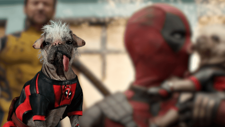 UK’s Ugliest Dog Who Nobody Wanted is Now Dogpool in Marvel’s Deadpool and Wolverine