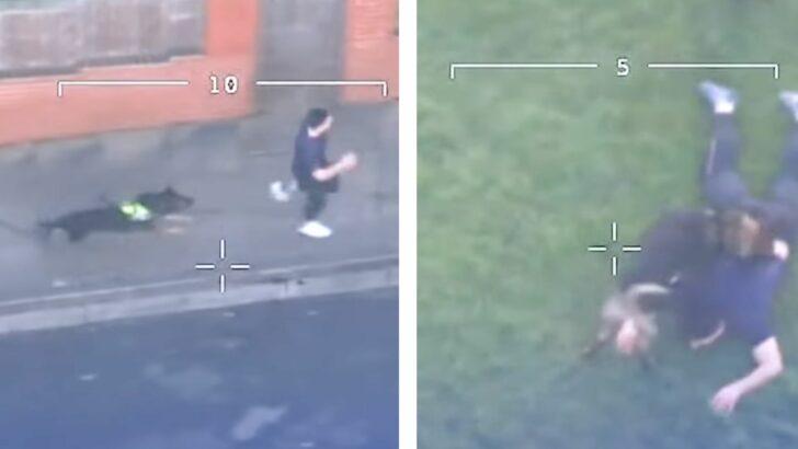Hero Police Dog Nabs Fugitive Driver After High-Speed Bedworth Chase