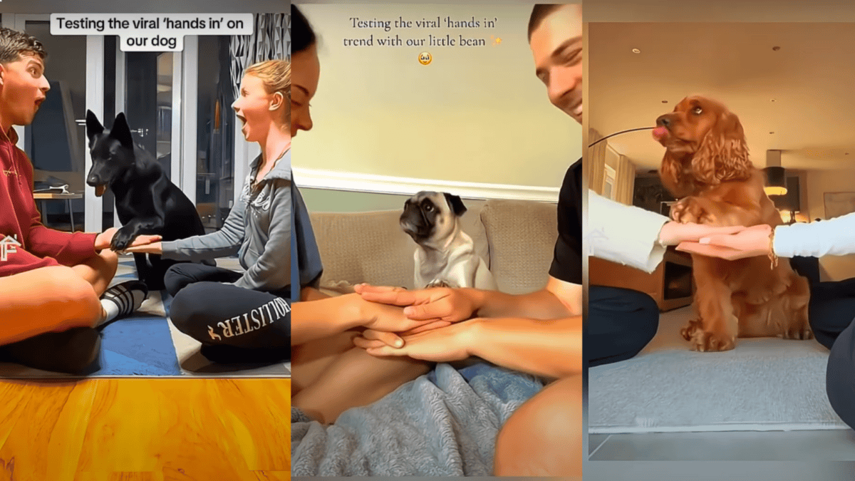 hands in challenge