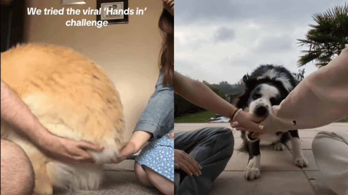 hands in challenge fails