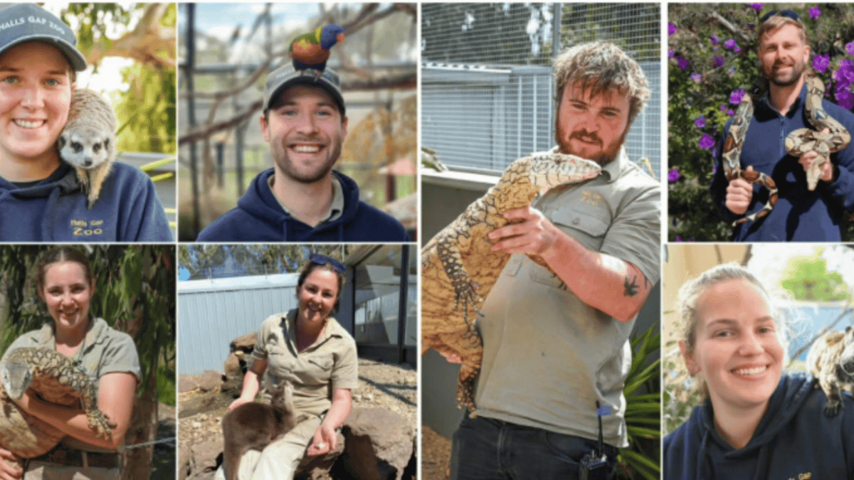 Zookeepers at Halls Gap Zoo
