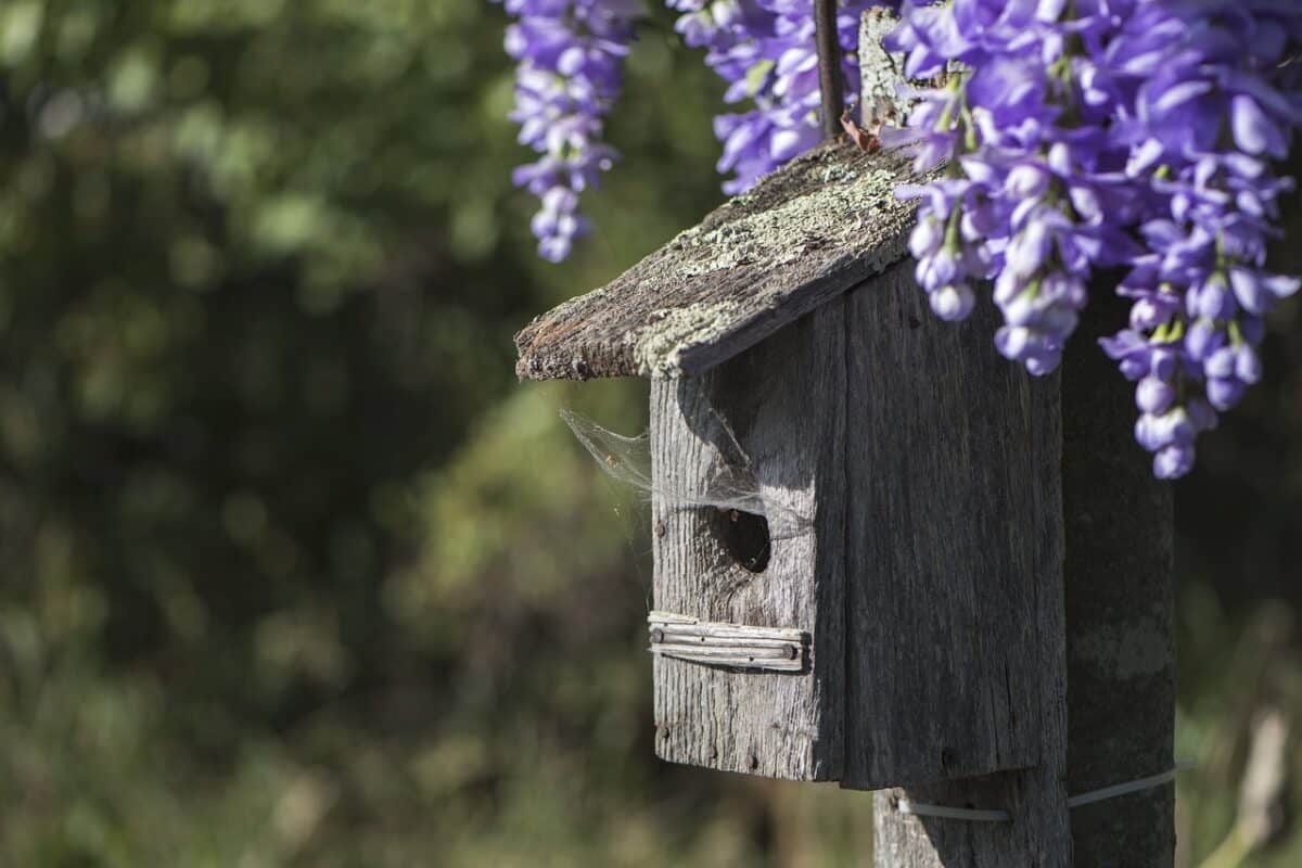 birdhouse