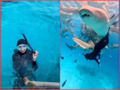 Woman Conquers Lifelong Fear of Sharks by Swimming with Twenty of Them