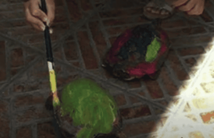 Kids painting turtle shell
