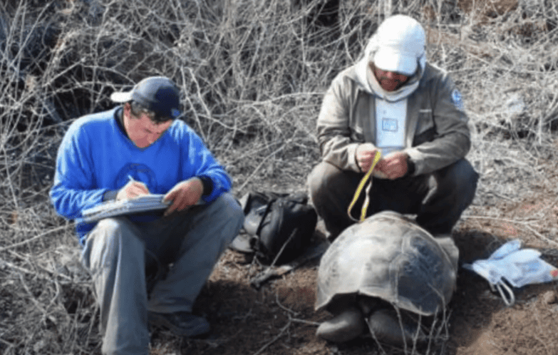 Wildlife rehabilitators