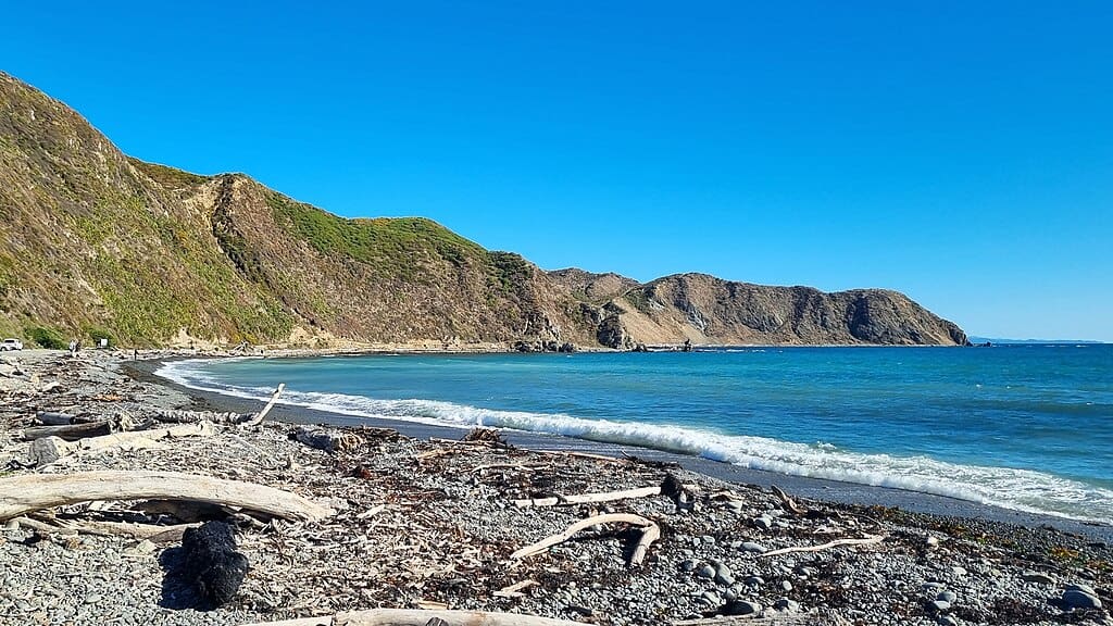 Mākara coastline.