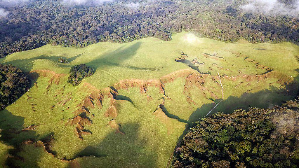 Plains of Gabon