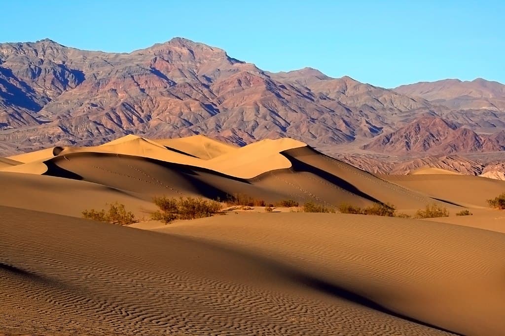 The rolling sand hills of the desert.