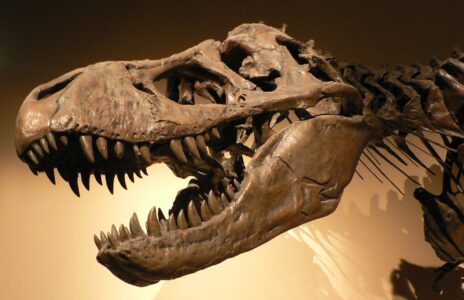 This Dinosaur Was Even Bigger Than a T-Rex&mdash;And Twice as Fast