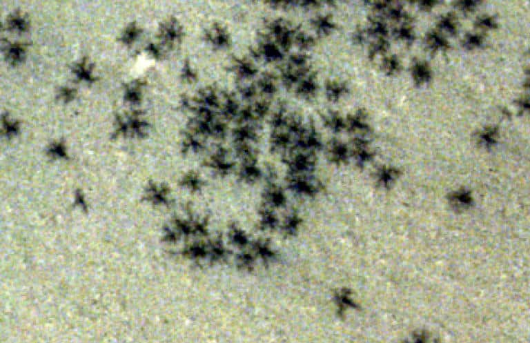 The Truth Behind Mars' Mysterious 'Spiders'