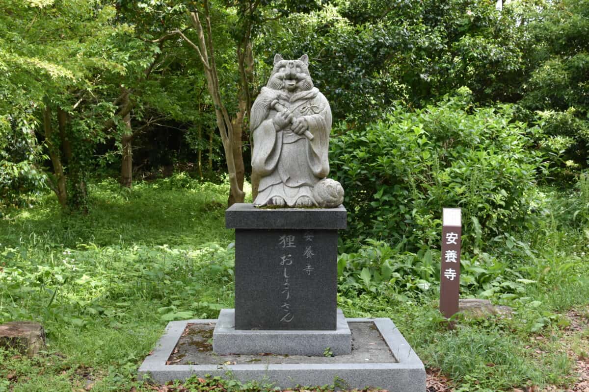 Stone statue of Tanuki Osho, in Anyouji temple. Photographed on May 23, 2020.