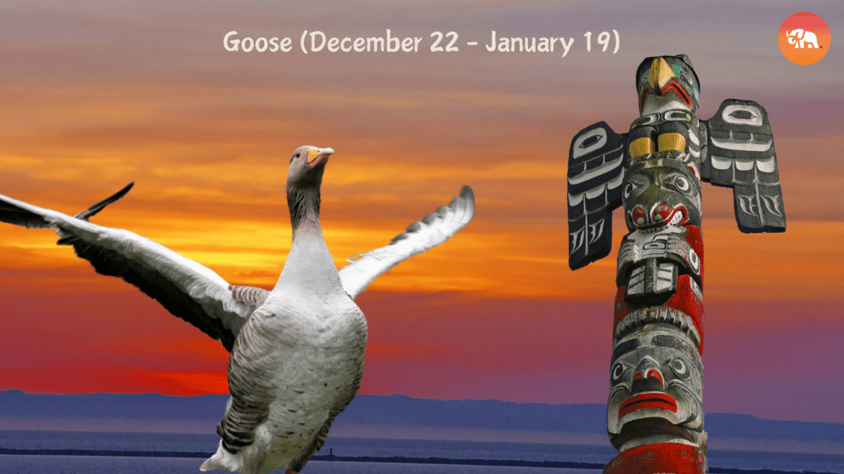 Native American Zodiac-Goose