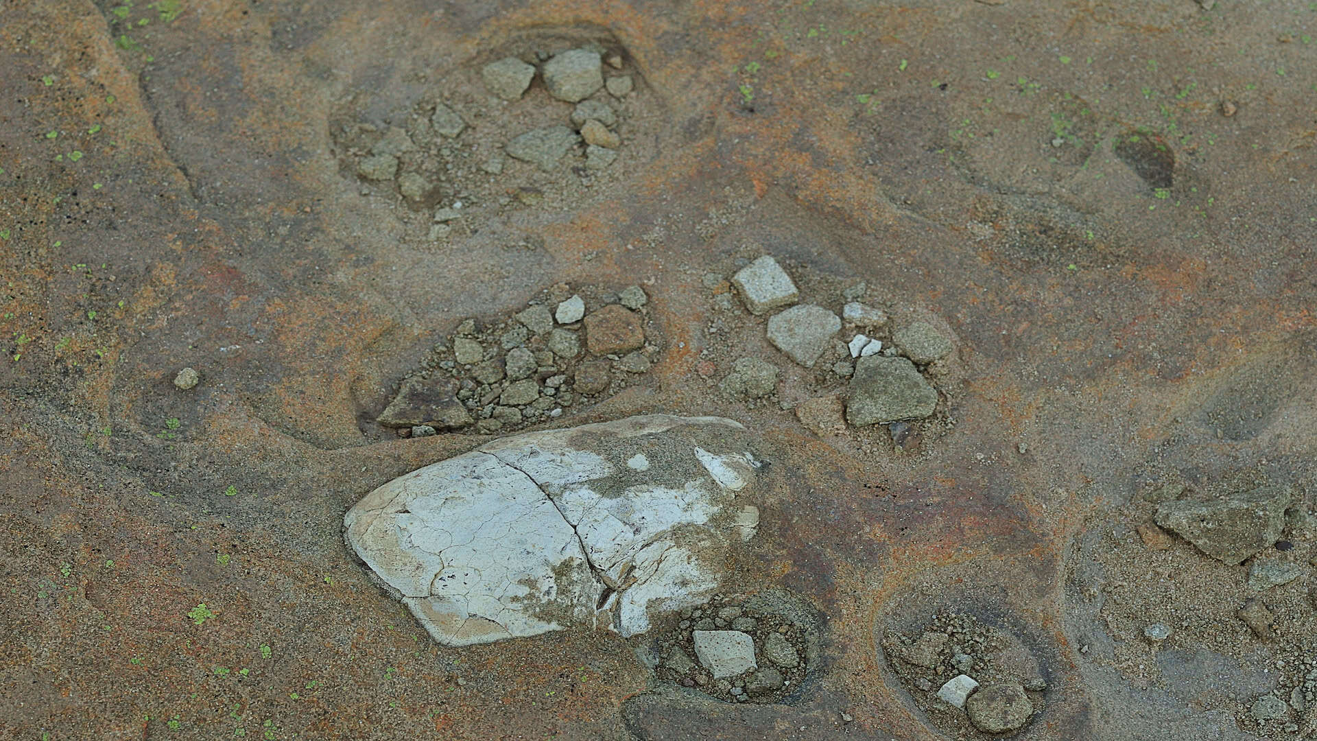 A fossilized dinosaur egg on a farm.