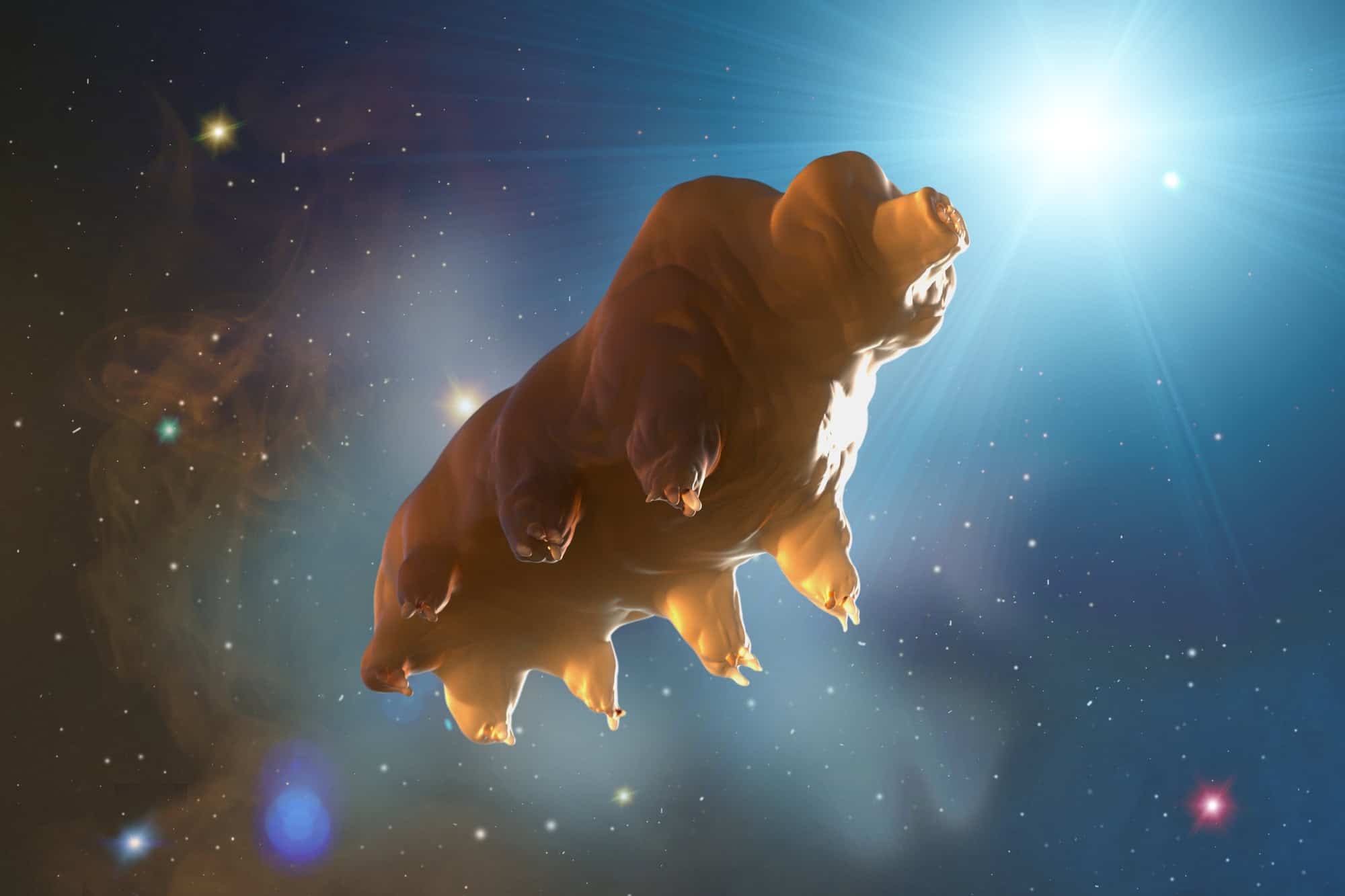 3-D rendering of a tardigrade, showing off their cute and chubby features. Could they hold the secret to stop us from aging?