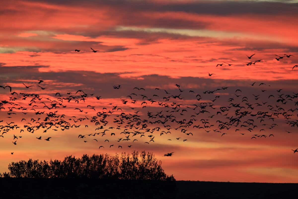 New Mexico, USA.