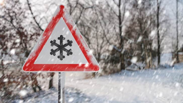 Fact or Fiction? Breaking Down Snow Myths and Quirky Truths