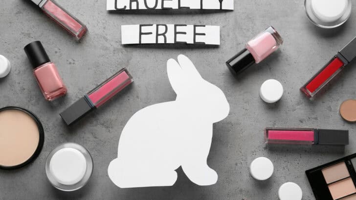 Washington Takes the Lead and Bans Animal Testing in Cosmetics