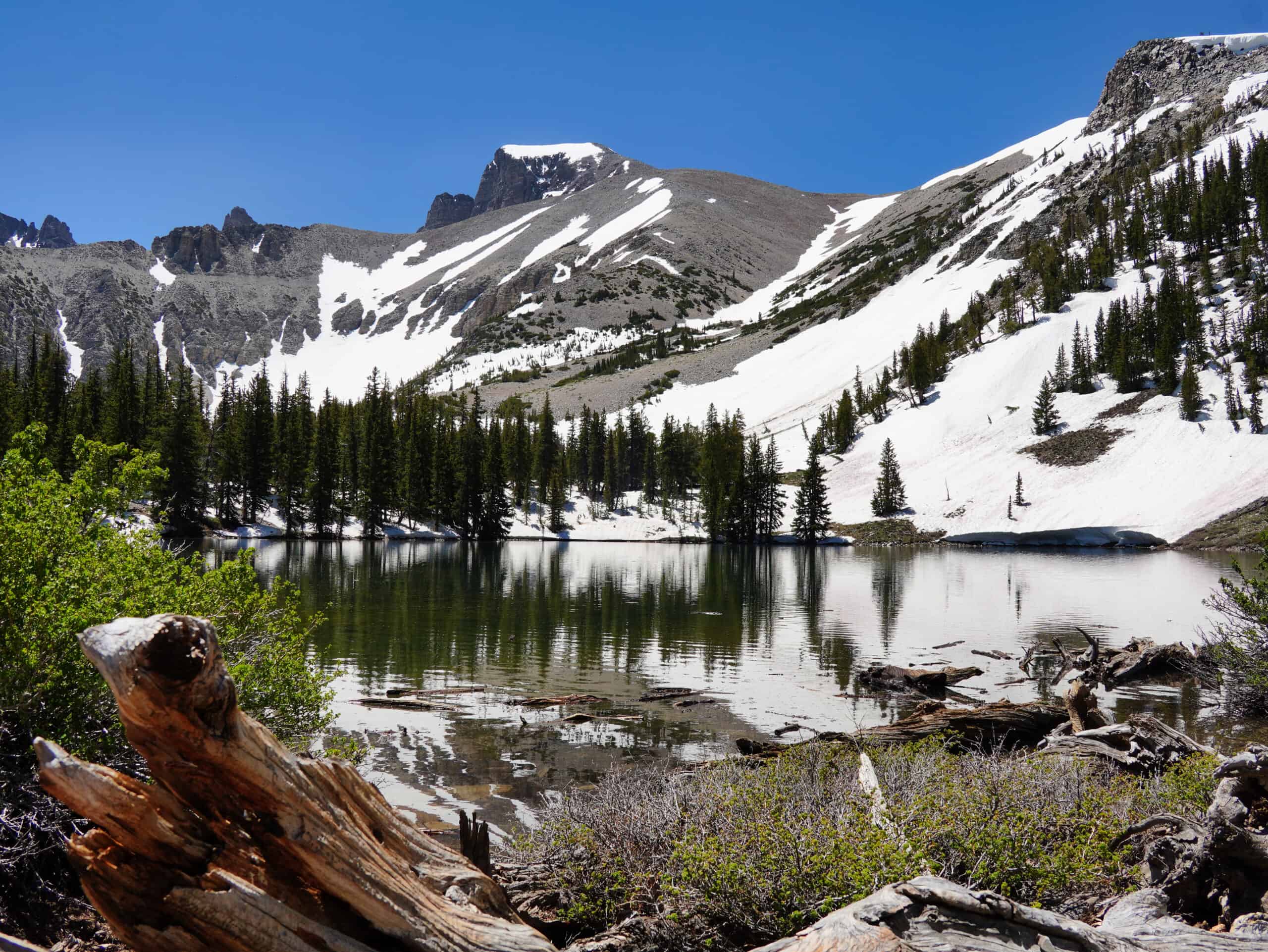 Great Basin National Park