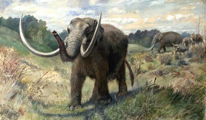 13,600-Year-Old Mastodon Skull Unveils Possible Human Interaction in Ancient Iowa