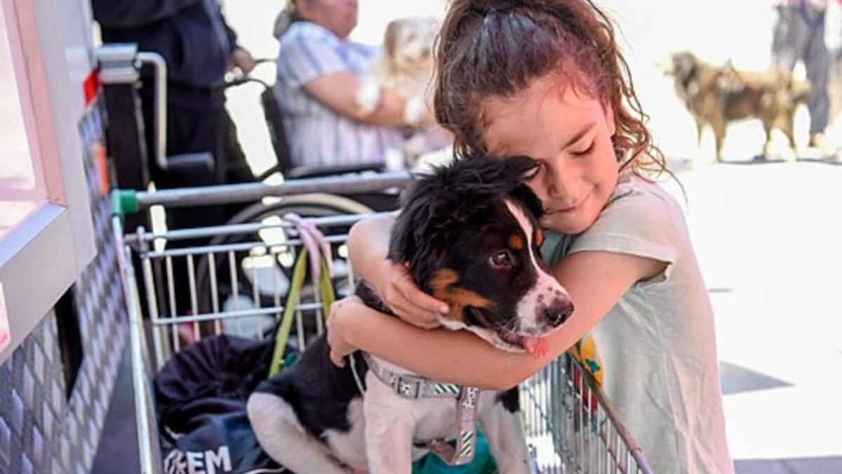 Girl Hugging a Dog