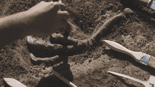 Ancient DNA Found in Cave Dirt May Rewrite Animal History