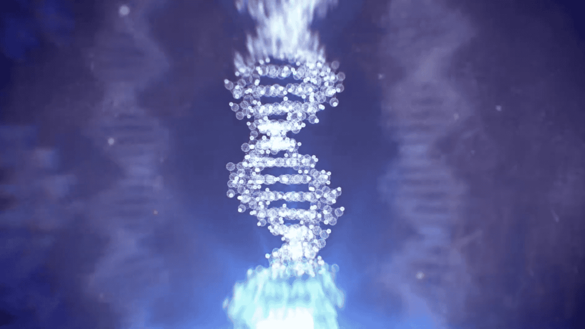 DNA structure.