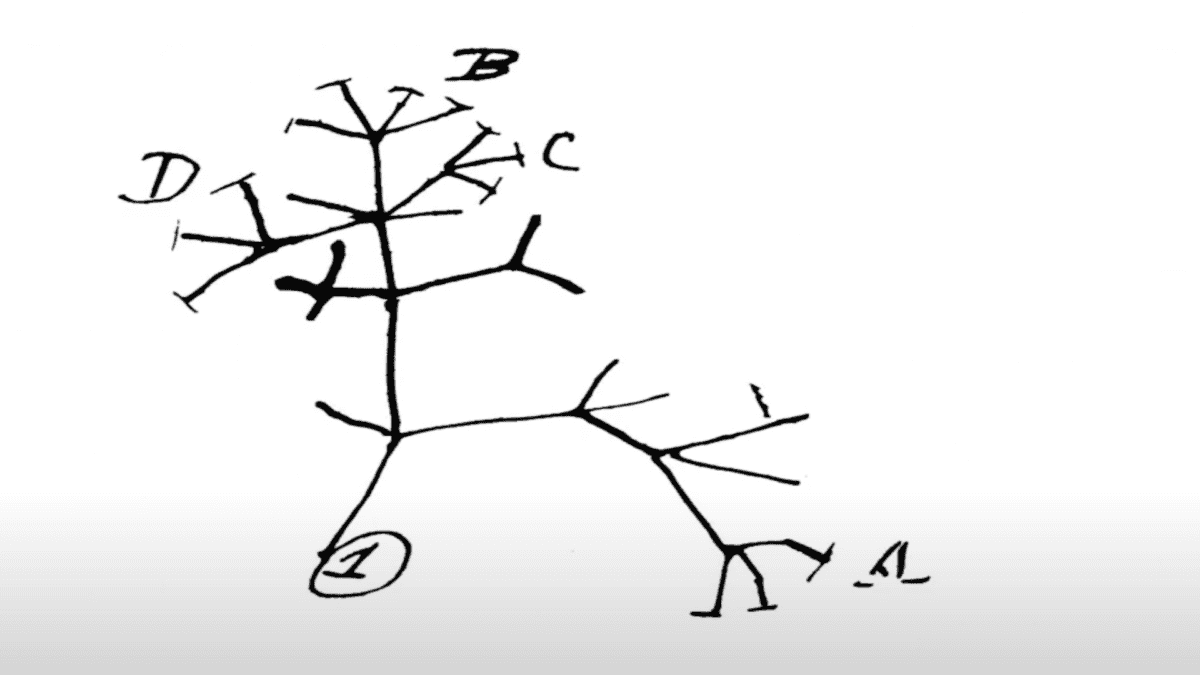 A prehistoric family tree.