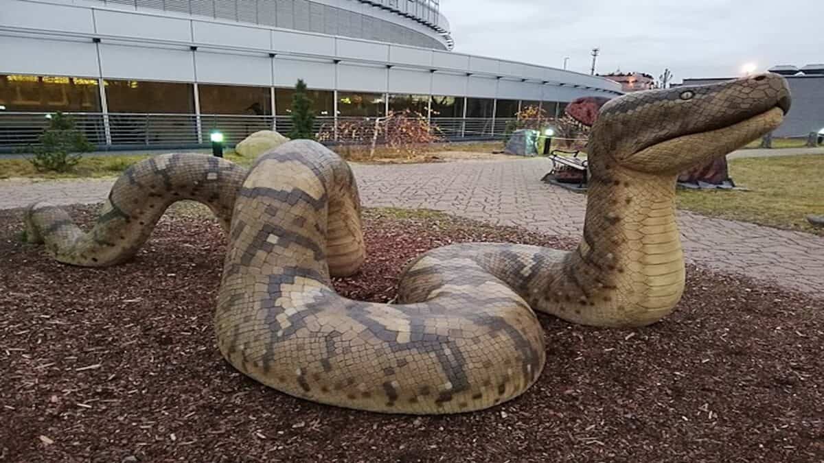 Titanoboa replica.