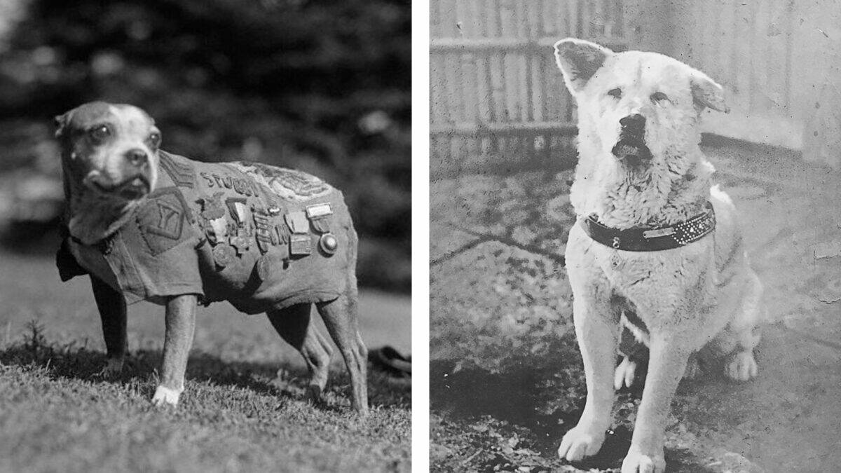 animals that changed the course of history