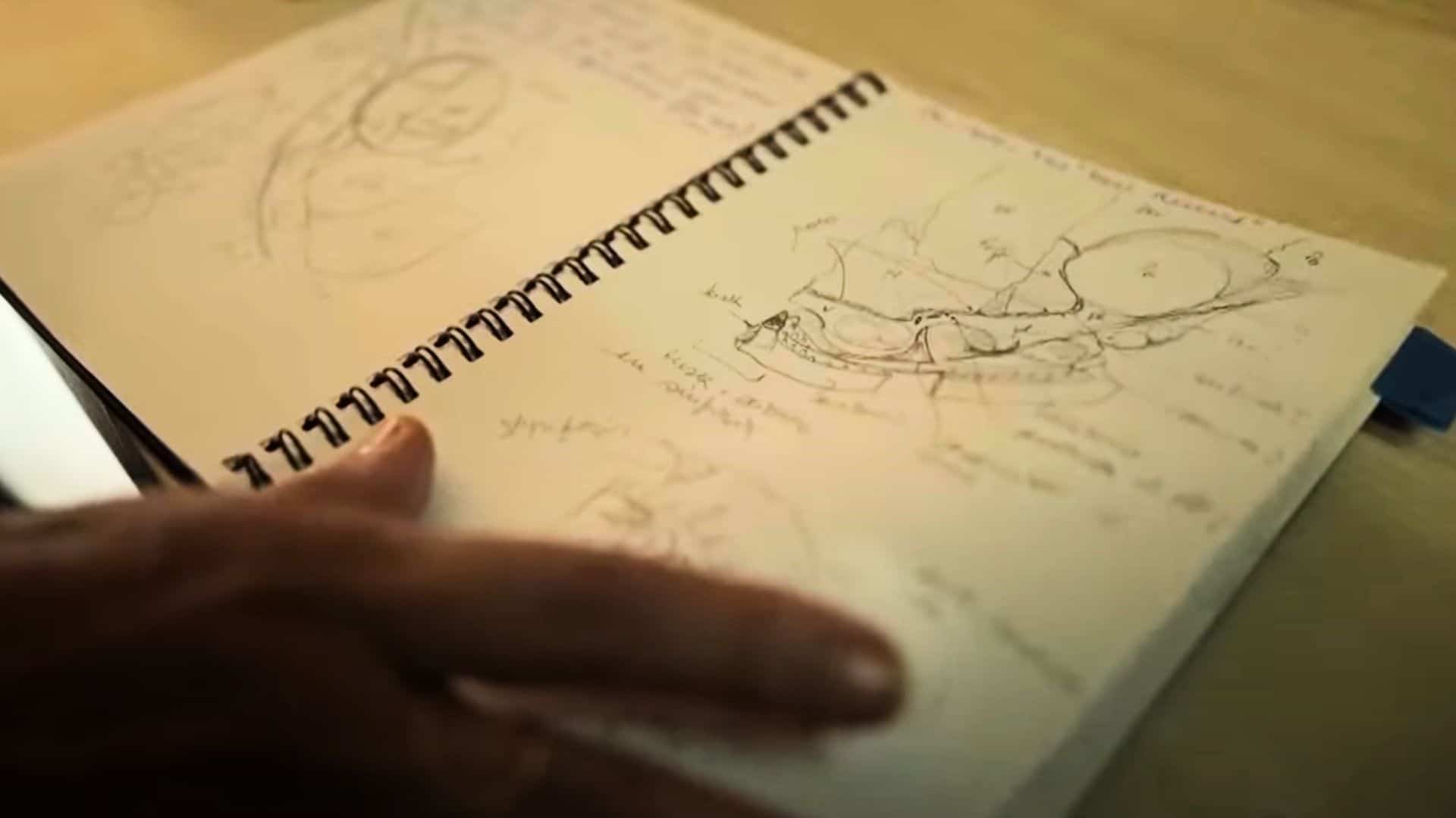 Notes by paleontologist Claudia Mariscano.