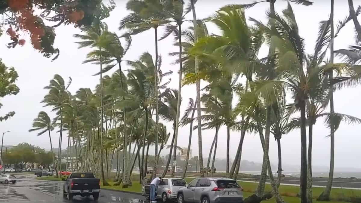 Hawaiian Island