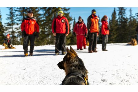 These Dogs Have Been Trained to Protect Wildlife &ndash; Here&rsquo;s How