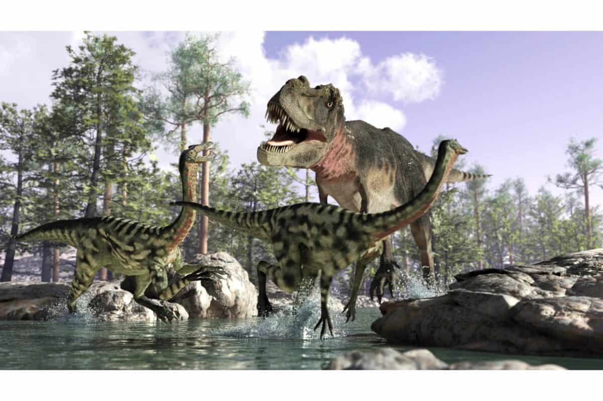 trex