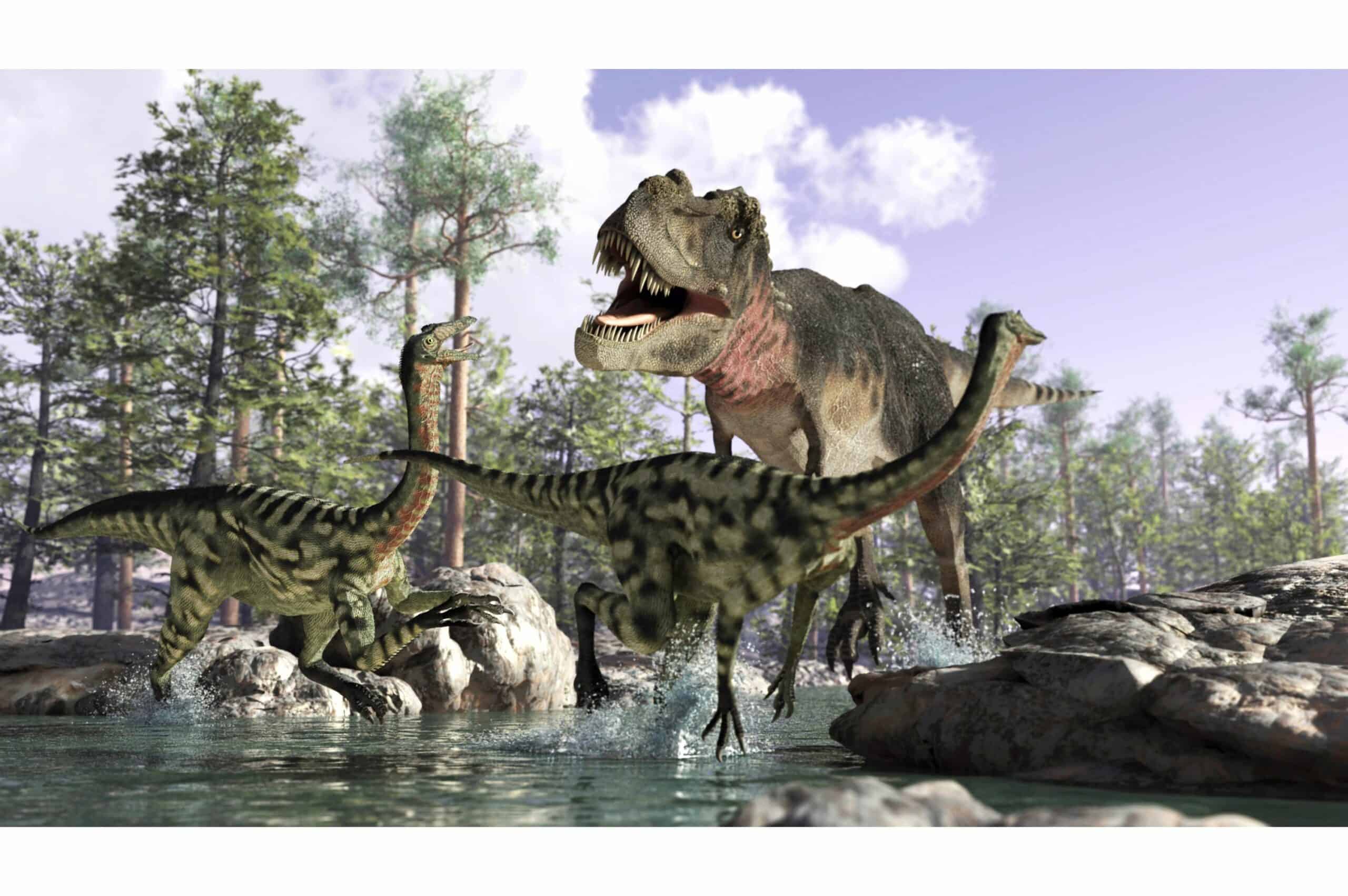 trex