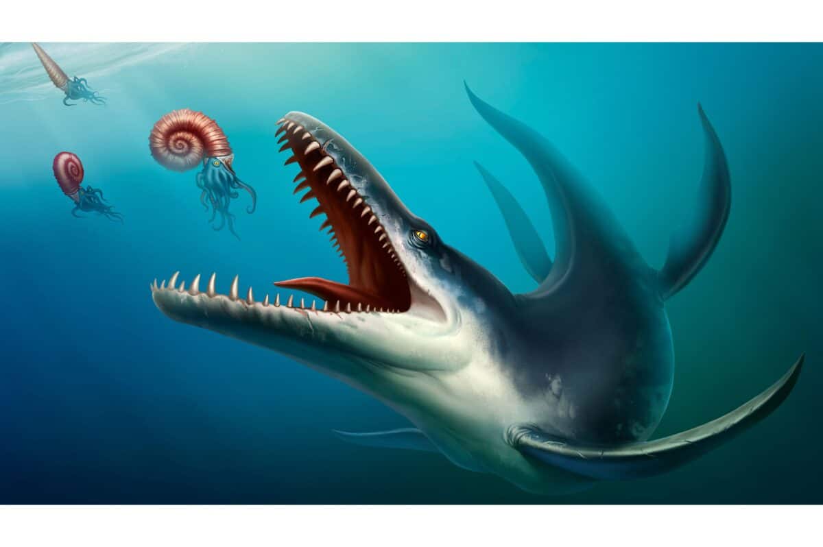 dinosaur