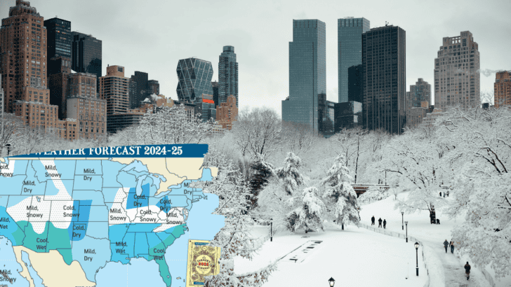 Contradictions Galore: The Old Farmer’s Almanac is Forecasting a Calmer, Gentler U.S. Winter