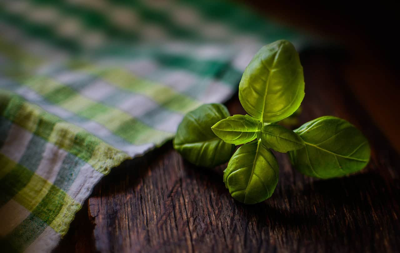 Basil.