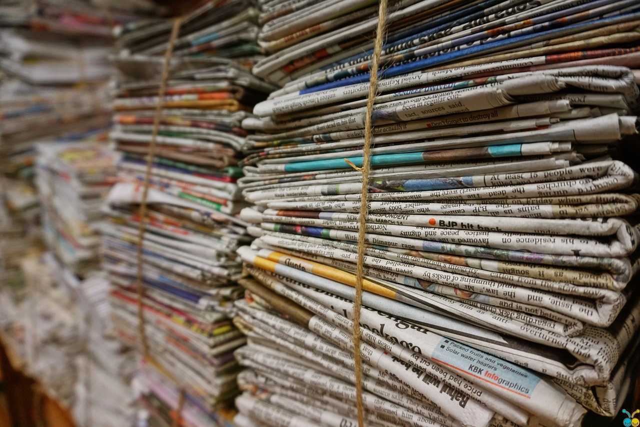 What's just an old news paper to us is a feast for a silverfish.