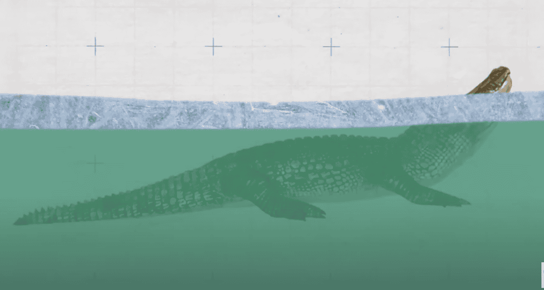 An animation of the process of Brumation.