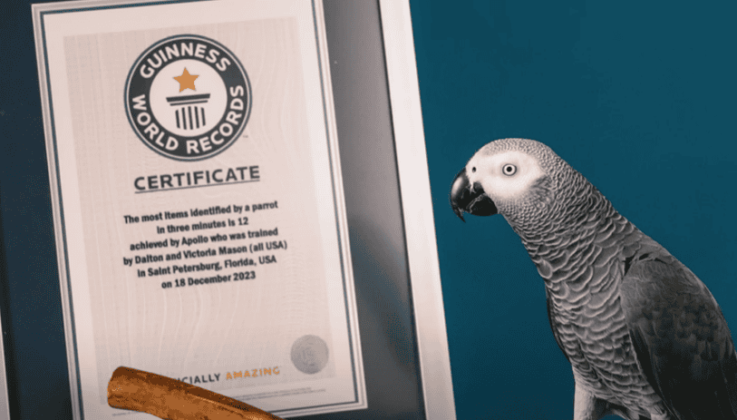 Apollo with his certificate
